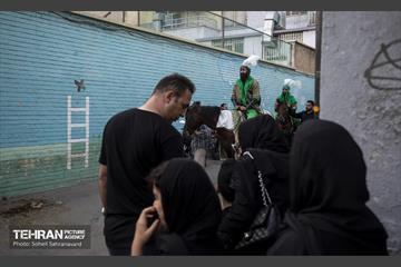ورود نمادین کاروان امام حسین‌(ع) به کربلا 27