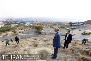 بازدید شهردار تهران از پروژه درختکاری کمربند سبز تهران  9