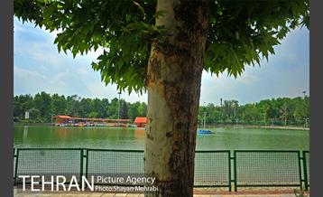 بوستان بعثت 42