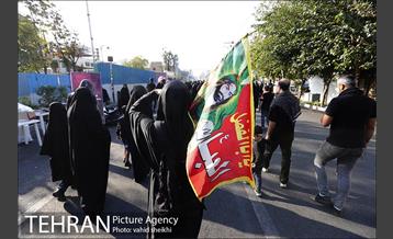 پیاده روی جامندگان اربعین حسینی (ع) در تهران 14