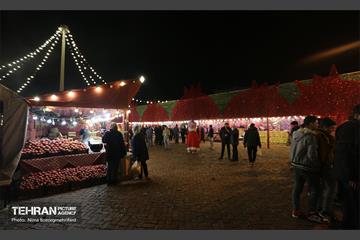جشنواره انار در بوستان آب و آتش  22