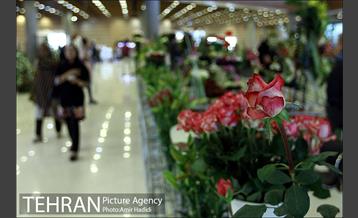 چهاردهمین نمایشگاه بین المللی گل و گیاه تهران 23