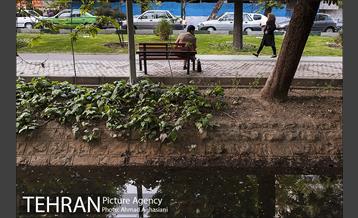 بلوار کشاورز 31