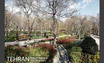 رویش گل های لاله در باغ ایرانی 23