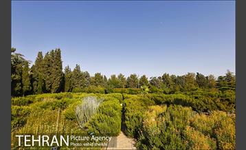 باغ گیاه شناسی ملی ایران  5