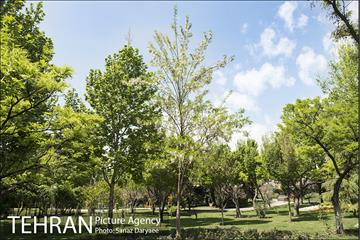 بوستان آزادگان 35