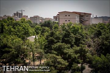 از پادگان تا بوستان 15