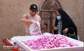 نوزدهمین جشنواره گل و گلاب تهران  3