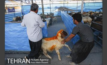 بازدید اصحاب رسانه از مراکز عرضه بهداشتی دام  11