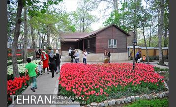 روش گل های لاله در باغ ایرانی 44