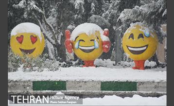بارش برف زمستانی در تهران-2 12