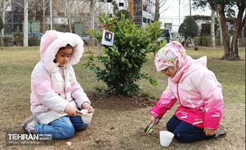 غرس ۱۱۰۰ نهال در منطقه ۱۱ 27