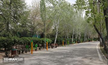 بوستان بانوان نرگس 5