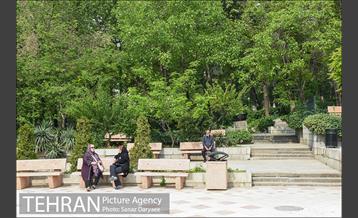 بوستان نیاوران 7