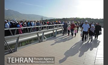 همایش پیاده روی خانوادگی کارکنان شهرداری 21