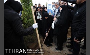 آیین کاشت درخت ایثار و امنیت 30