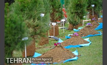 مراسم درختکاری به مناسبت روز مادر 19