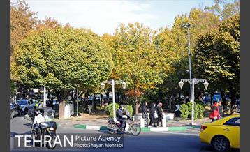 طبیعت پاییزی بلوار کشاورز 4