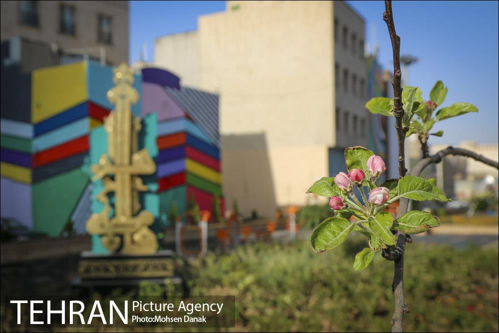 بوستان فاطمیه 16