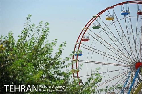 بوستان بسیج 11