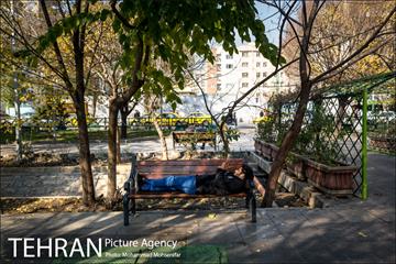 روزهای پاییزی کشاورز 4
