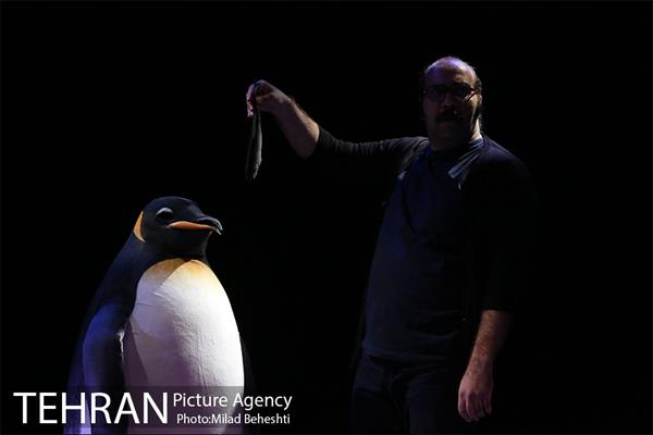 نمایش مرگ و پنگوئن  4