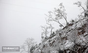 بارش برف زمستانی در تهران 2