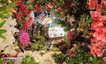 بازار گل محلاتی  48