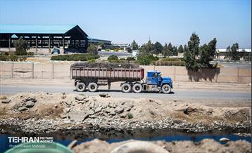 روایتی برای طلای کثیف تهران 55