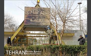 آغاز فصل هرس درختان- 3