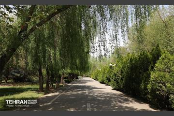 بوستان بانوان نرگس 25