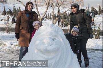 جشنواره مجسمه های برفی 9