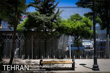 مراحل آماده سازی گذر پیاده راه استاد شهریار 10