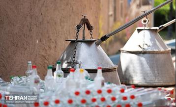 نوزدهمین جشنواره گل و گلاب تهران  27