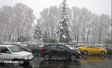 بارش نخستین برف زمستانی در تهران 4