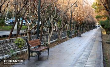 استقبال از بهار - 5 8