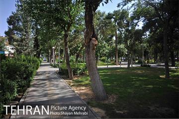 بوستان هفت چنار 20
