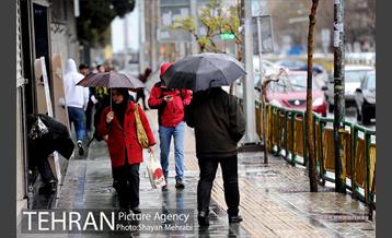 بارش باران بهاری در تهران 28