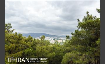 بوستان جنگلی لویزان 1