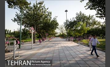 شهرنگار؛ بوستان قائم 14