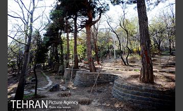 بوستان جمشیدیه (باغ سنگی جمشیدیه) 7