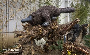 اقیانوس پارک  18