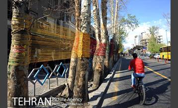 اکران هنرهای محیطی نوروزی در سطح شهر 15