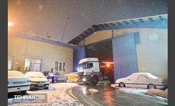 بارش برف زمستانی در معابر شمالی پایتخت - 1 29