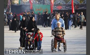 پیاده روی جامندگان اربعین حسینی (ع) در تهران 3