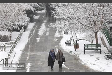صبح برفی بوستان ملت 21