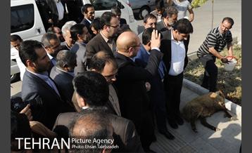 آیین افتتاح و بهره برداری از مسجد ٧٢ تن و یادمان ٦ شهید گمنام 9