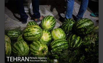 فعالیت های گروه مردمی پردیس پایان کارتن خوابی 3