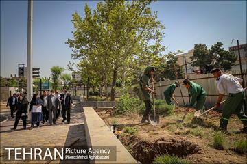 بازدید مهندس شاپور رستمی معاون هماهنگی و امور مناطق شهرداری تهران از پروژه های منطقه ۸ 2