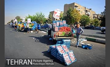 میوه فروشان خیابانی 17